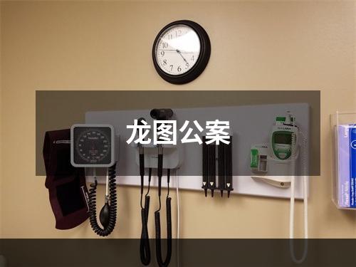 龙图公案